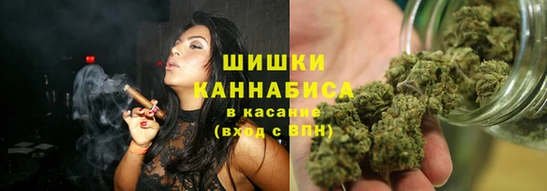 мдпв Инта