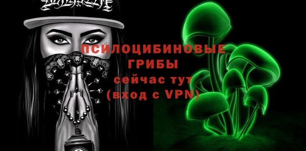 ПСИЛОЦИБИНОВЫЕ ГРИБЫ Зеленодольск