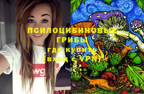 мдпв Инта