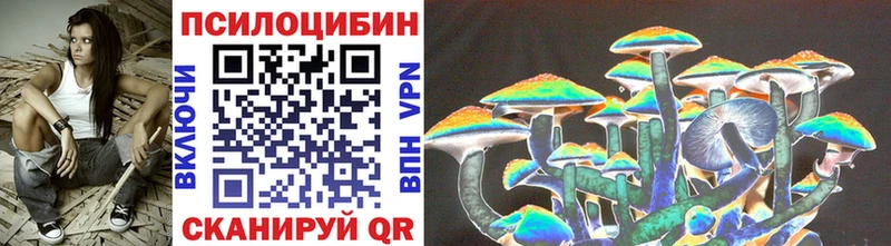 Купить  Дорогобуж  Псилоцибиновые грибы GOLDEN TEACHER 